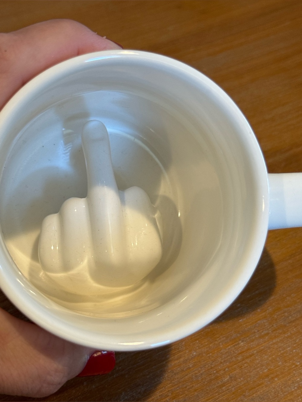Funny Novelty Flip Off Give the Bird Mug ‘Middle Finger Coffee Cup Prank